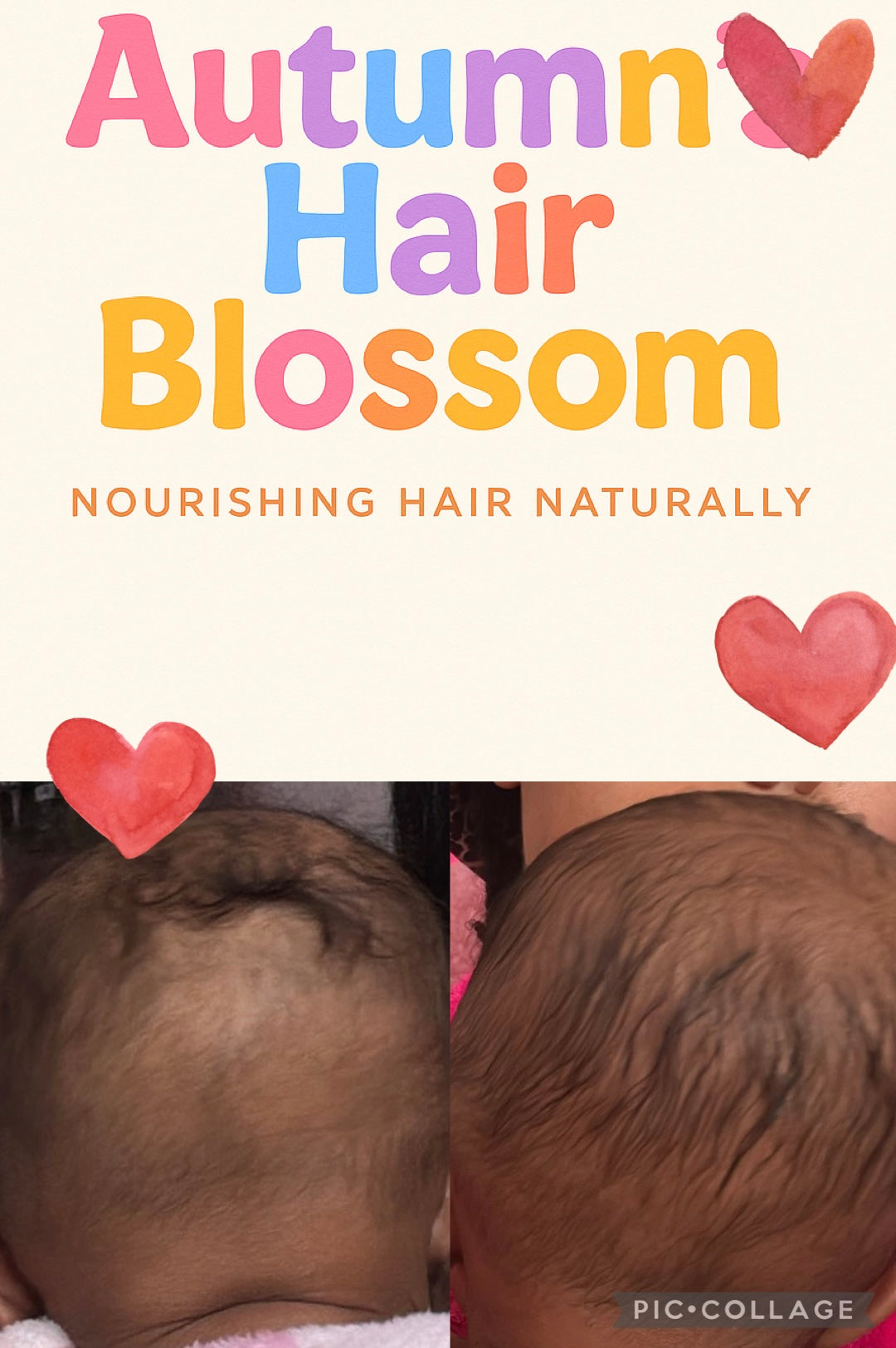 Autumn’s Baby Hair Blossom